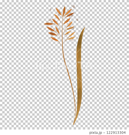 Field grass for cattle feed. Spikelet. Green branch of plant. Watercolor isolated illustration. 122913304