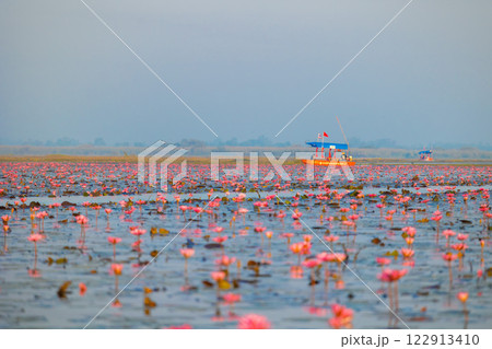 赤蓮の花の湖 赤蓮の花の湖 122913410