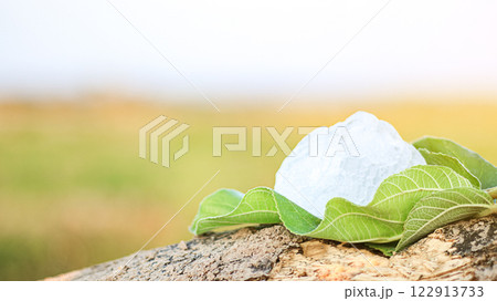 Pieces of alum stone on green leaf against blurred background. The connection between natural minerals and plant based ingredients in traditional practices and holistic wellness. 122913733