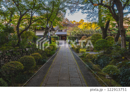 浜松市にある紅葉の色付き始めた龍潭寺の参道の風景(静岡県) 122913751