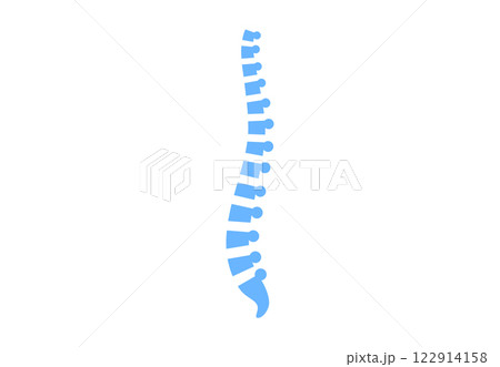 Spine medical poster 122914158