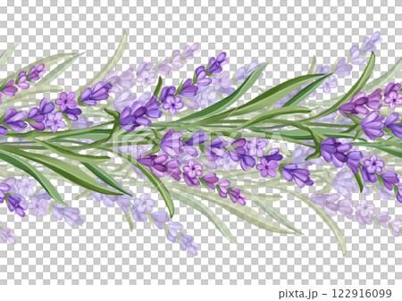 Lavender flowers. Hand drawn floral seamless border illustration 122916099