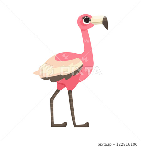 Pink Flamingo with Long Neck and Leg as Tropical Animal and Wild African Fauna Vector Illustration 122916100