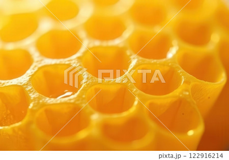 Macro shot of a honey filled honeycomb. Sweet and tasty honey Macro shot of a honey filled honeycomb. Sweet and tasty honey 122916214