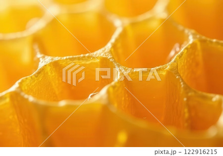 Macro shot of a honey filled honeycomb. Sweet and tasty honey Macro shot of a honey filled honeycomb. Sweet and tasty honey 122916215