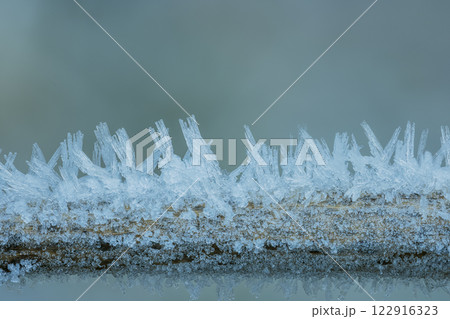 Frost Ice Crystals Formed on Winter Leaves in Nature. Abstract nature 122916323