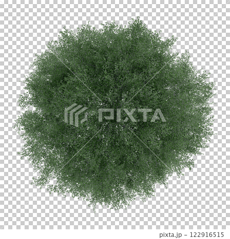 tree top view plant landscape architecture nature garden aerial render. trees branch isolate collection illustration environment green botany urban bush park. tree architecture conifer decorative. tree top view plant landscape architecture nature garden aerial render. trees branch isolate collection illustration environment green botany urban bush park. tree architecture conifer decorative. 122916515