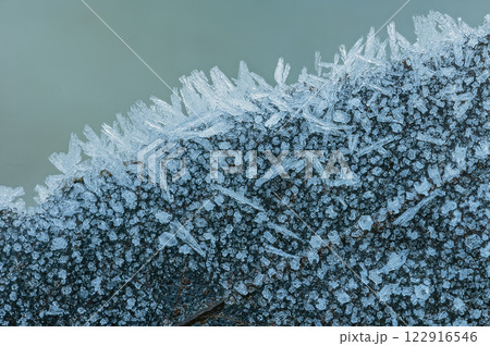 Frost Ice Crystals Formed on Winter Leaves in Nature. Abstract nature 122916546