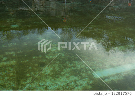 Swimming pool with dirty green water close-up. 122917576