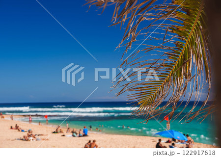A vibrant Hawaiian beach scene with turquoise waves, sandy shore, palm frond in the foreground, beachgoers under umbrellas, and a clear blue sky. A vibrant Hawaiian beach scene with turquoise waves, sandy shore, palm frond in the foreground, beachgoers under umbrellas, and a clear blue sky. 122917618