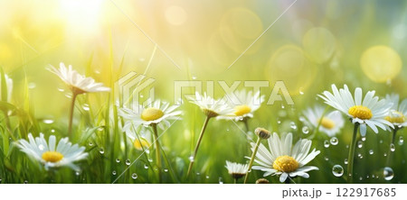 grass sunlight spring summer with dew, ai 122917685
