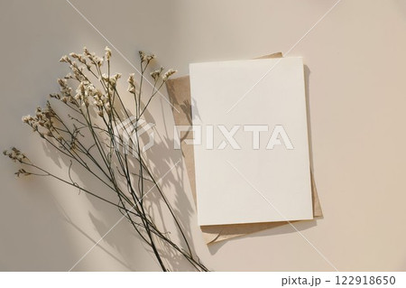 Empty greeting card, invitation mockup, craft envelope in sunlight. Beige table background. Dry limonium flowers. Long shadows. Neutral web banner. Elegant wedding, birthday template. Flat lay. Top Empty greeting card, invitation mockup, craft envelope in sunlight. Beige table background. Dry limonium flowers. Long shadows. Neutral web banner. Elegant wedding, birthday template. Flat lay. Top 122918650