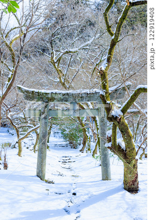冬の積雪した垂裕神社 福岡県朝倉市 冬の積雪した垂裕神社 福岡県朝倉市 122919408