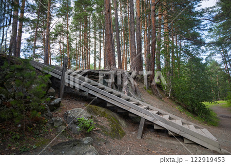 wooden staircase in the forest 122919453
