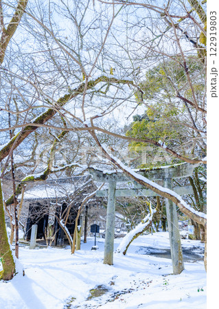 冬の積雪した秋月城跡 黒門 福岡県朝倉市 冬の積雪した秋月城跡 黒門 福岡県朝倉市 122919803