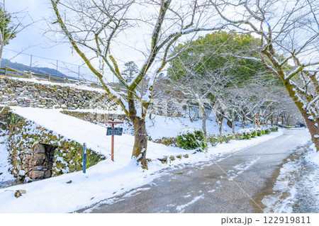 冬の積雪した秋月城跡　瓦坂　福岡県朝倉市 122919811