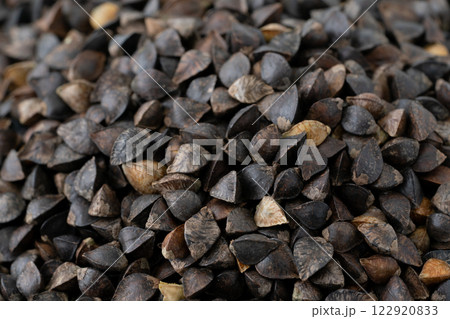 玄そば（殻つきのそばの実）のクローズアップ背景 122920833