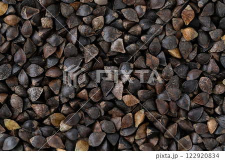 玄そば（殻つきのそばの実）のクローズアップ背景 122920834