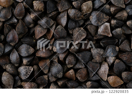 玄そば（殻つきのそばの実）のクローズアップ背景 122920835