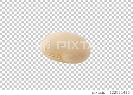 透明背景（png）上的一顆幸運豆（大豆） 122921436