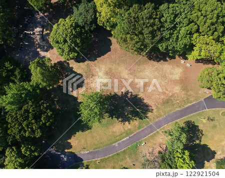ドローンで空撮した秋の公園の森の風景 122921504