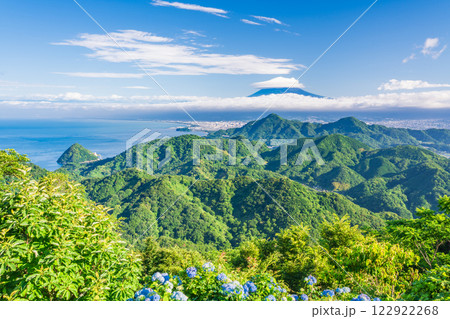 【静岡県】伊豆パノラマパーク 山頂のアジサイと富士山の展望 【静岡県】伊豆パノラマパーク 山頂のアジサイと富士山の展望 122922268