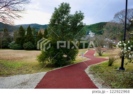 公園内の歩道を新しくエンジ色に舗装し直した風景 122922968