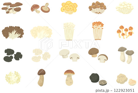20種類のキノコのイラスト／名称なし（ベクターあり） 122923051