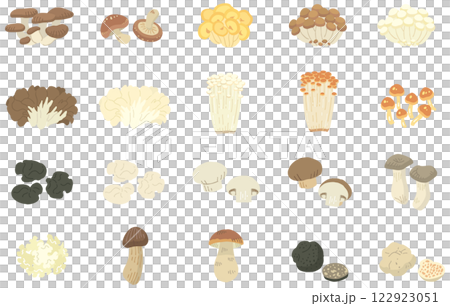 20 types of mushroom illustrations / no names (vector available) 122923051
