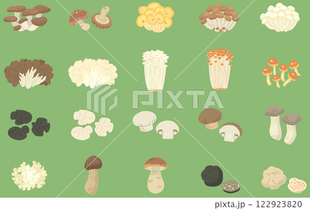 20種類のキノコのイラスト／名称なし／背景グリーン（ベクターあり） 122923820