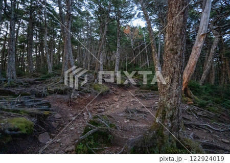 金峰山、鷹見岩と周辺の景色 122924019