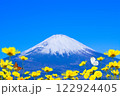 お花畑　蝶々　富士山　 122924405