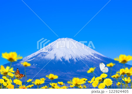 お花畑　蝶々　富士山　 122924405