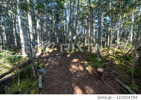 国師ヶ岳、甲武信ヶ岳と周辺の景色 122924704