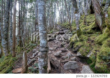 国師ヶ岳、甲武信ヶ岳と周辺の景色 122924769