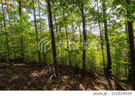 国師ヶ岳、甲武信ヶ岳と周辺の景色 122924839