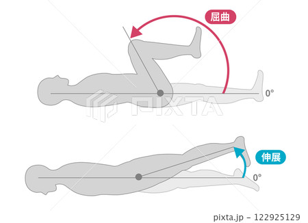 股関節の可動域　セット 122925129