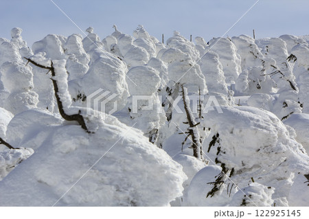 山形蔵王温泉スキー場 蔵王の樹氷 122925145