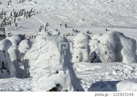 山形蔵王温泉スキー場 蔵王の樹氷 122925148