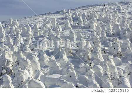 山形蔵王温泉スキー場 蔵王の樹氷 122925150