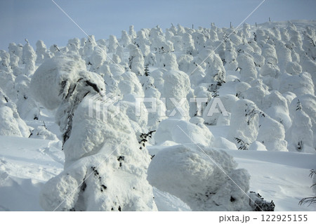 山形蔵王温泉スキー場 蔵王の樹氷 122925155
