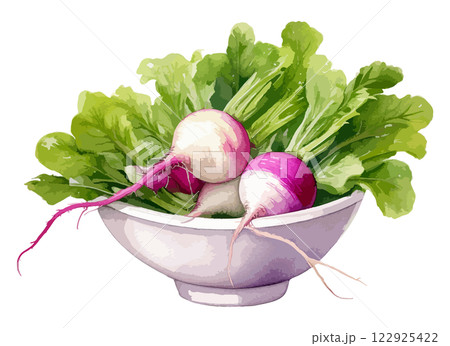 ボウルに入ったカブの水彩風イラスト　生成AI 122925422