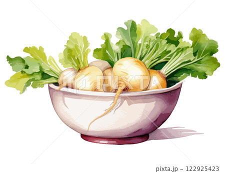 ボウルに入ったカブの水彩風イラスト　生成AI 122925423
