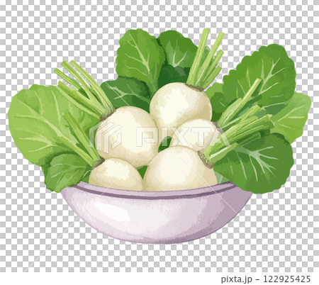 ボウルに入ったカブの水彩風イラスト　生成AI 122925425