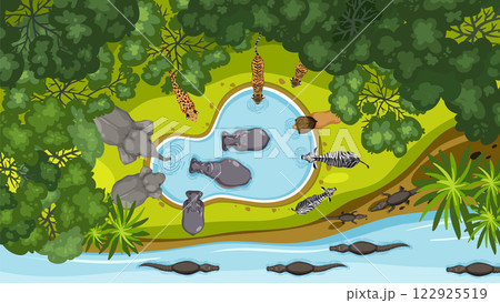 Aerial View of Wildlife Gathering 122925519