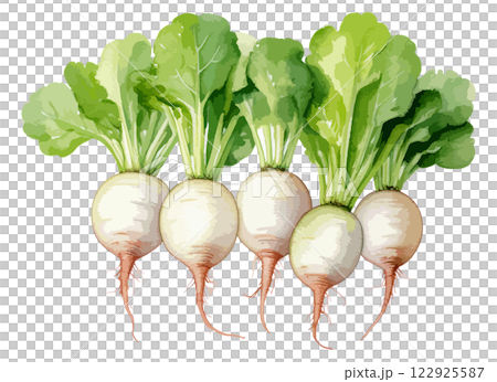 蘿蔔水彩插畫AI生成 122925587