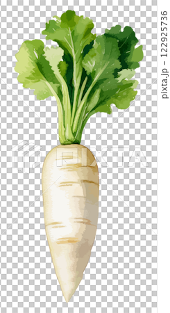 蘿蔔水彩插畫-AI生成 122925736