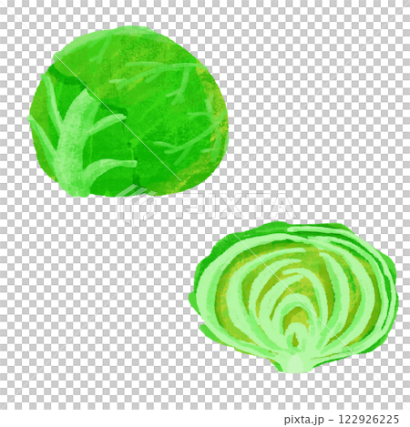 捲心菜品種手繪彩色插圖集 捲心菜品種手繪彩色插圖集 122926225