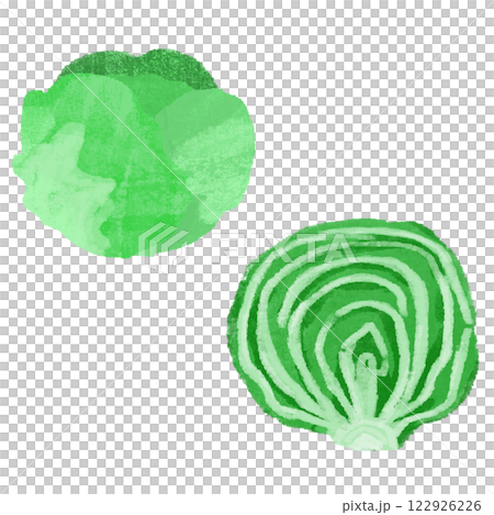 レタスの手描きのカラーイラストセット 122926226
