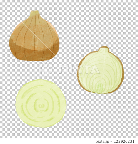 Hand-drawn color illustration set of various ways to cut onions 122926231
